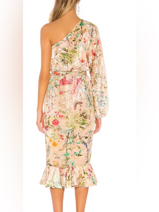 Hemant & Nandita Veena one shoulder velvet floral print midi dress NWT SZ S - Picture 2 of 9